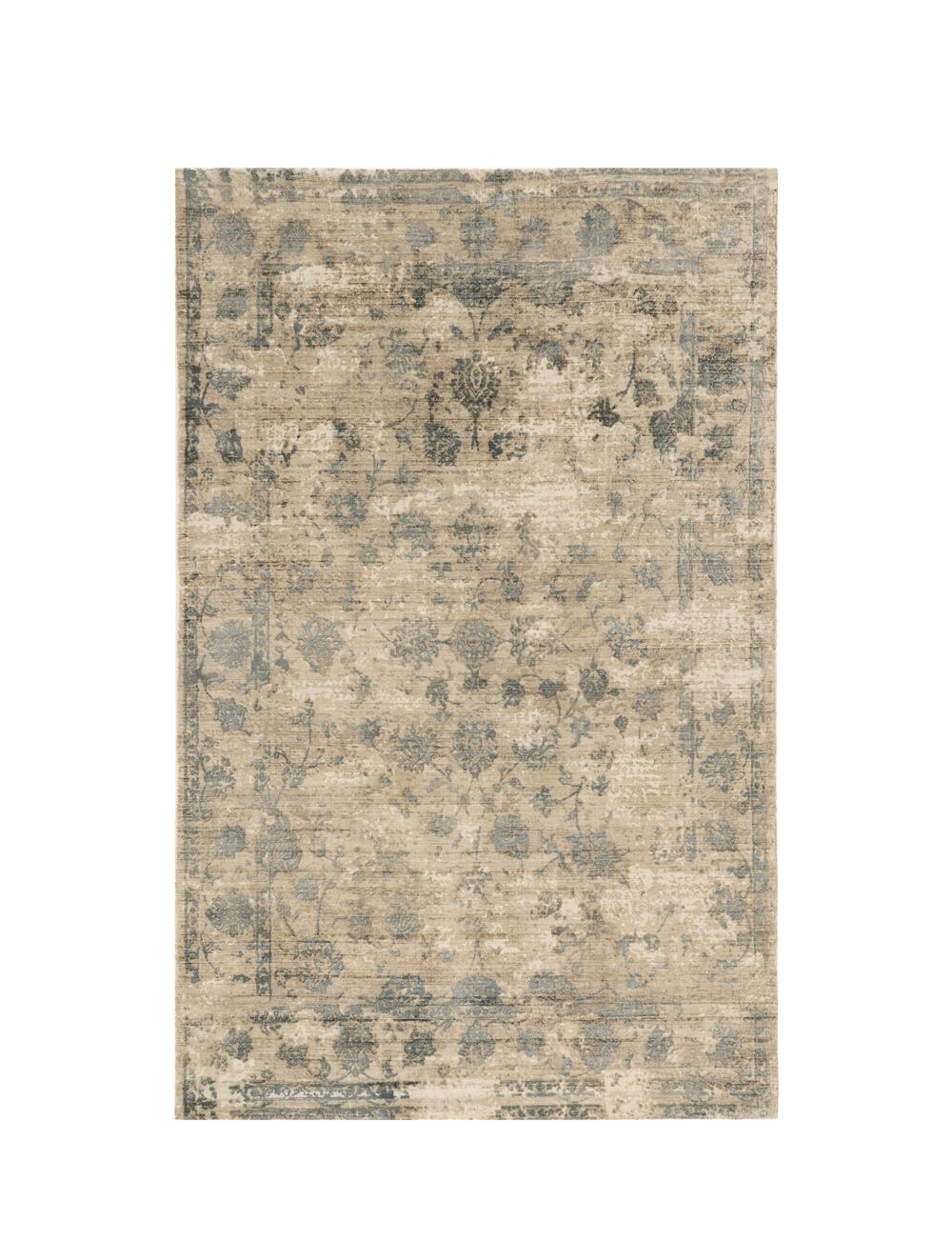 5' X 7'  Viscose Sand Or  Blue Area Rug