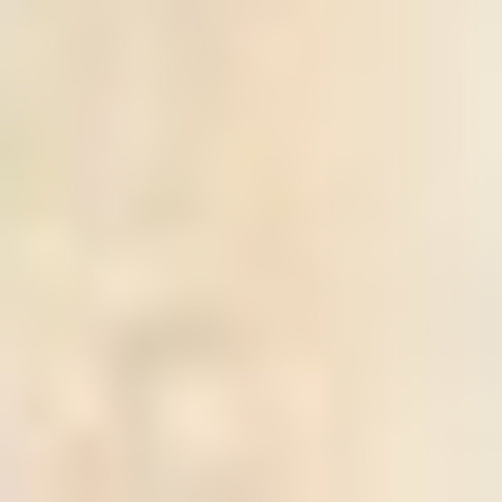 2' X 3' Red Ivory And Brown Floral Medallion Area Rug