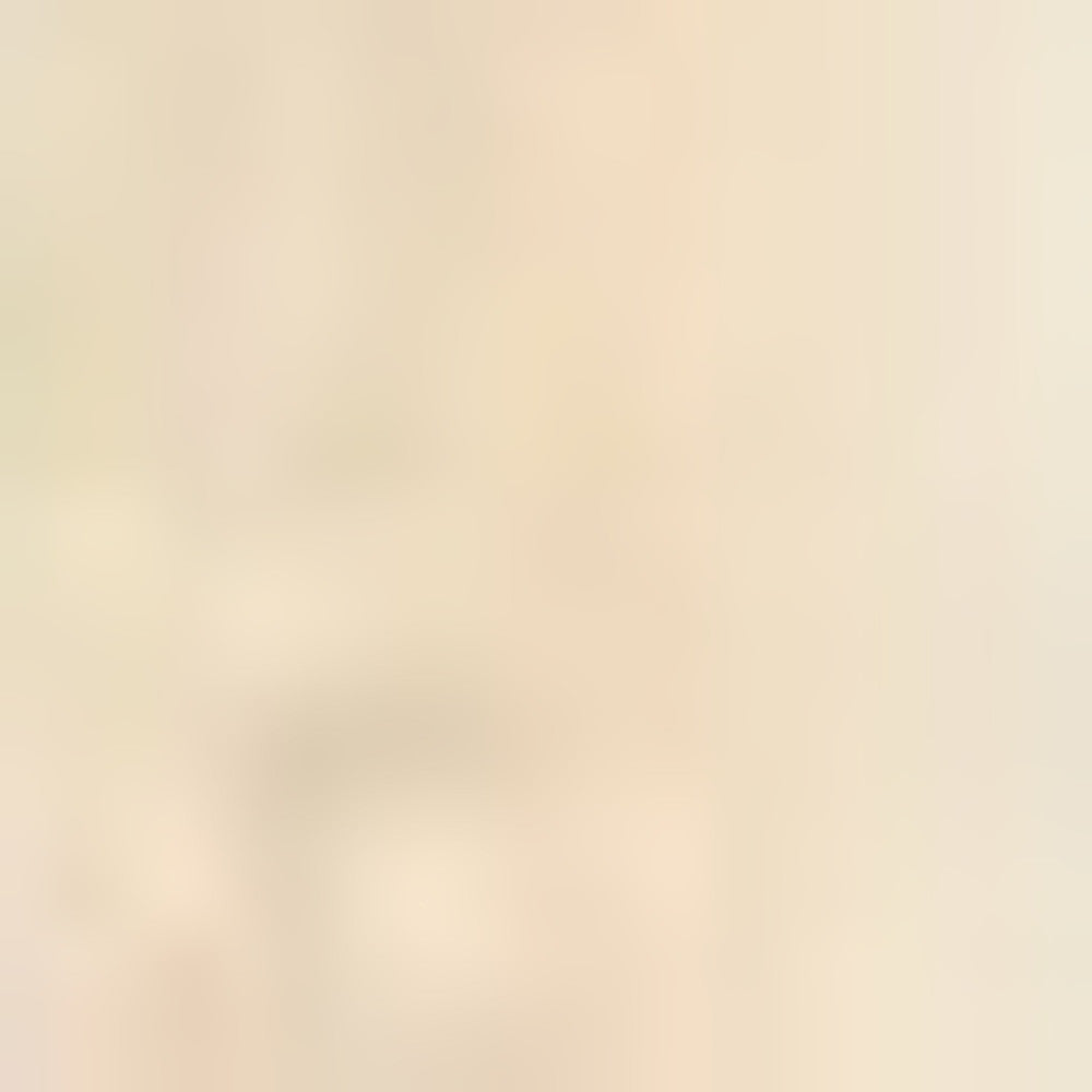 2' X 3' Red Ivory And Brown Floral Medallion Area Rug