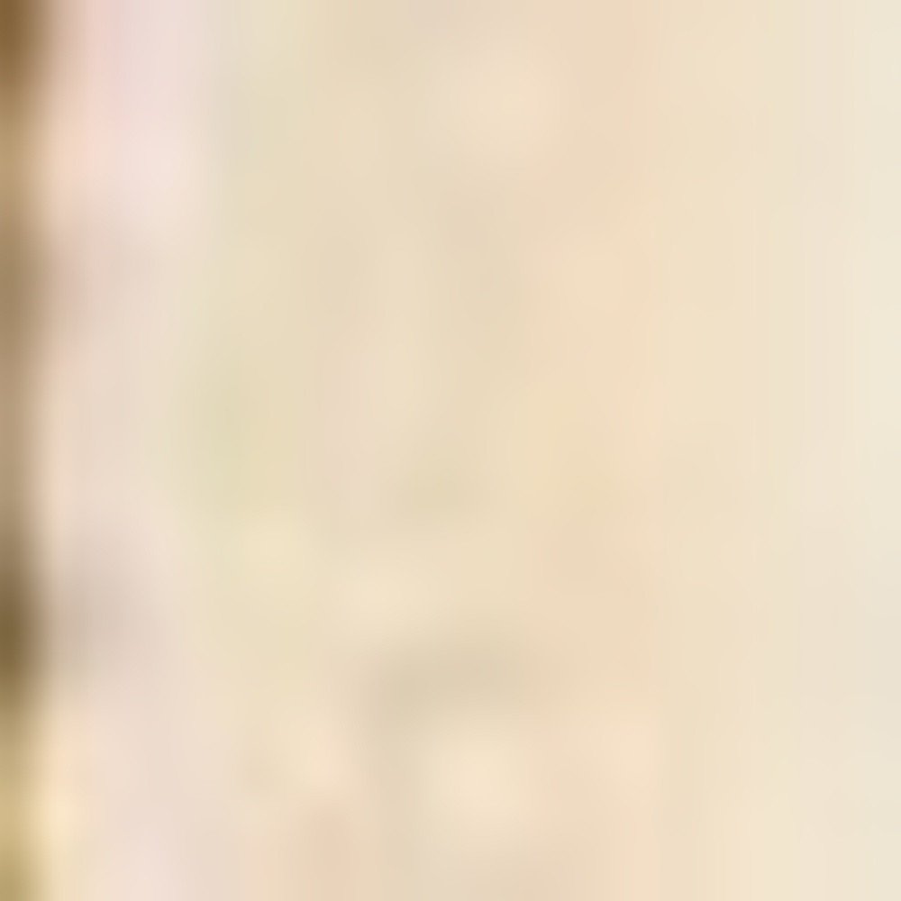 2' X 3' Red Ivory And Brown Floral Medallion Area Rug