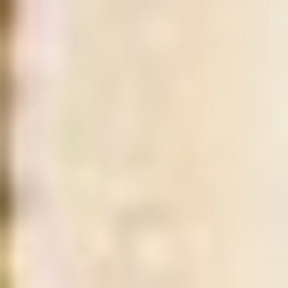 2' X 3' Red Ivory And Brown Floral Medallion Area Rug