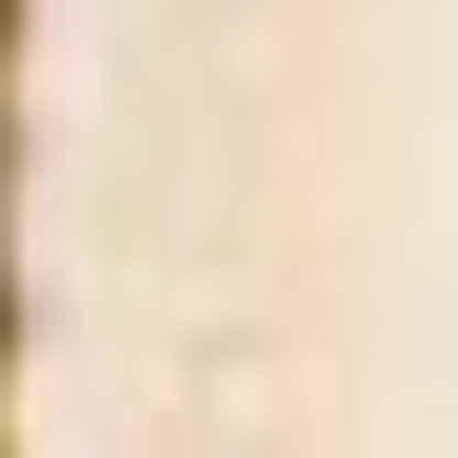 2' X 3' Red Ivory And Brown Floral Medallion Area Rug