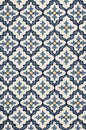 5' X 8' Ivory And Blue Moroccan Indoor Outdoor Area Rug