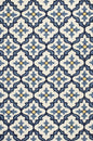 5' X 8' Ivory And Blue Moroccan Indoor Outdoor Area Rug