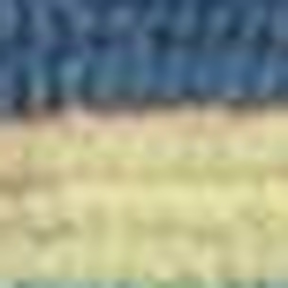 3' X 5' Blue Striped Handmade Indoor Outdoor Area Rug