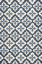 2' X 3' Ivory and Blue Moroccan Handmade Indoor Outdoor Area Rug