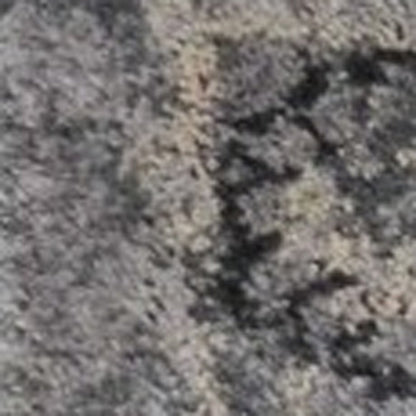 3' X 5' Gray And Light Gray Floral Medallion Area Rug