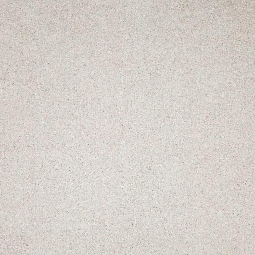 3' X 5' Ivory Shag Hand Woven Area Rug