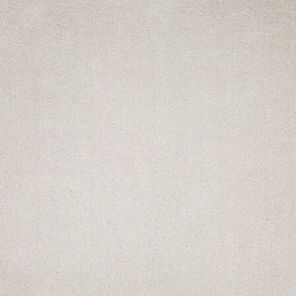 3' X 5' Ivory Shag Hand Woven Area Rug