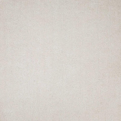 3' X 5' Ivory Shag Hand Woven Area Rug