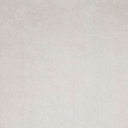 3' X 5' Ivory Plain Area Rug