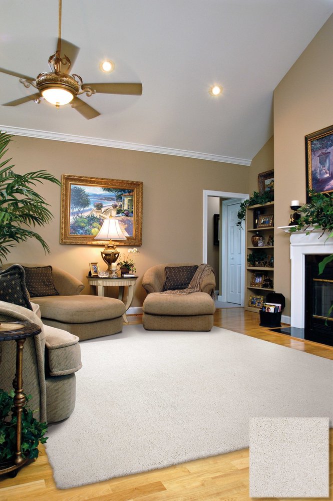 3' X 5' Ivory Shag Hand Woven Area Rug