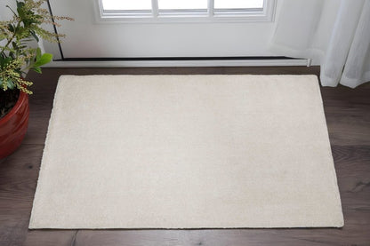 3' X 5' Ivory Shag Hand Woven Area Rug