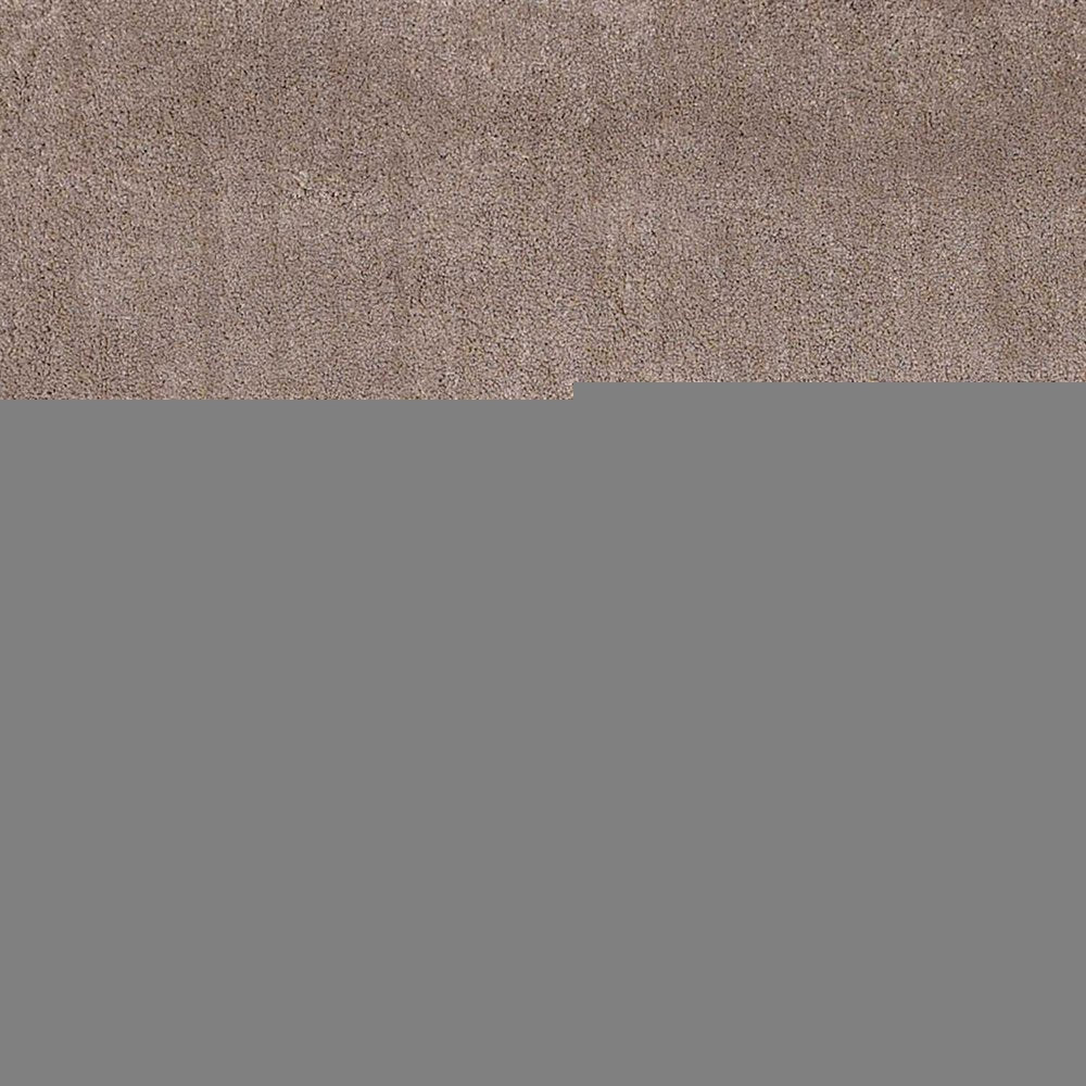 3' X 5' Beige Shag Hand Woven Area Rug