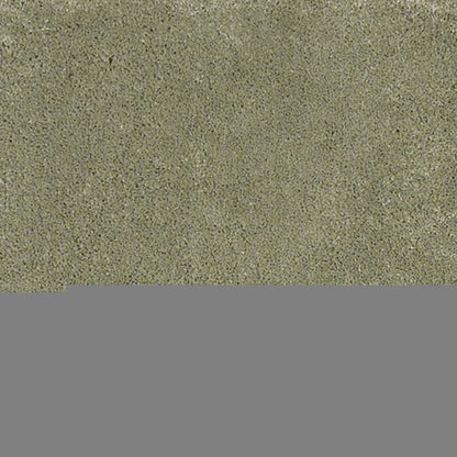 3' X 5' Sage Shag Hand Woven Area Rug