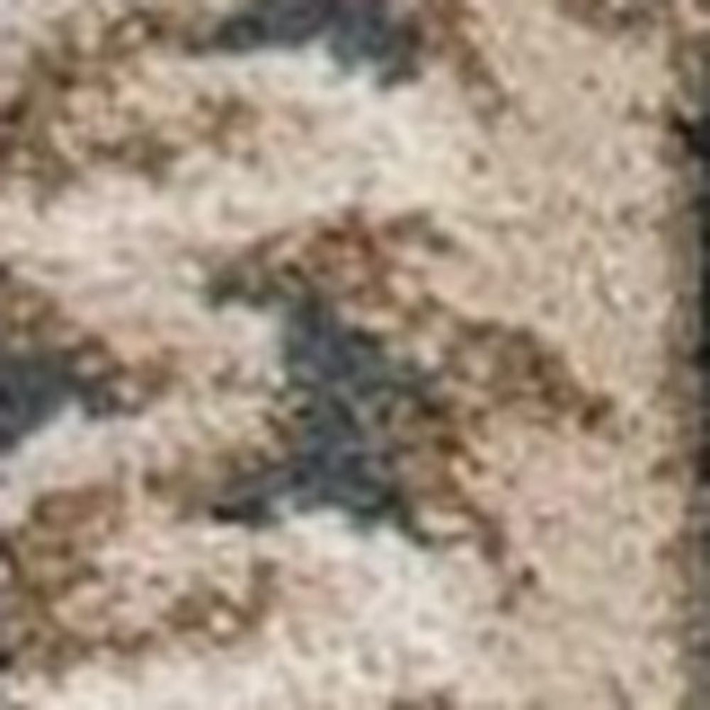 5' X 8' Slate Blue Red And Ivory Floral Medallion Area Rug