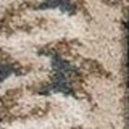 5' X 8' Slate Blue Red And Ivory Floral Medallion Area Rug