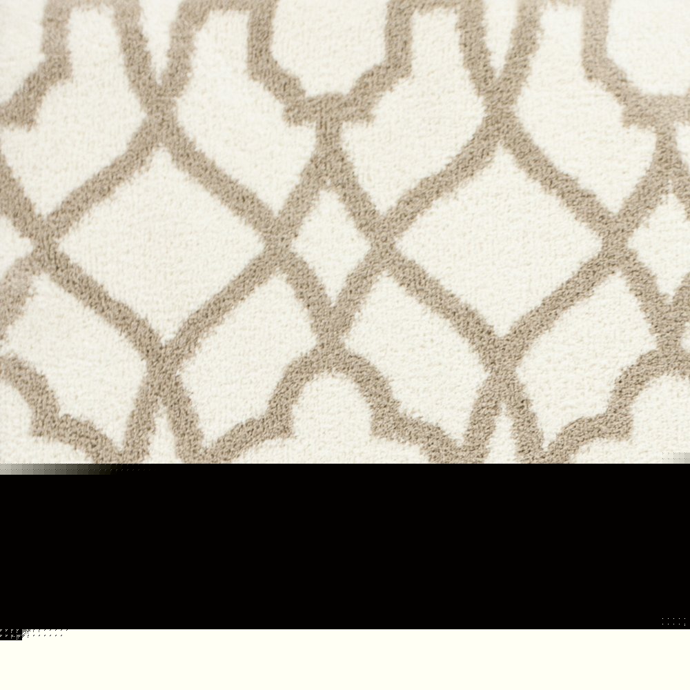 3' X 5' Beige and Ivory Area Rug