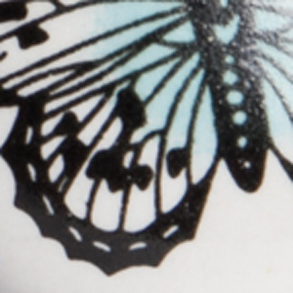 Set of Twelve Black And White Botanical Ceramic Drawer Pull Knobs