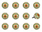 Set of Twelve Green And White Floral Ceramic Drawer Pull Knobs