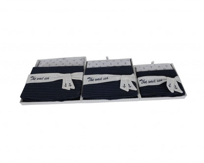 Set of Three Blue And White Fabric Organizing Box With Lid