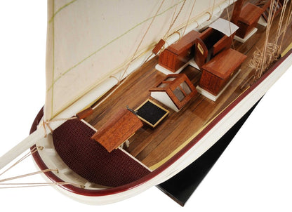 7" X 38" X 29" Wanderbird