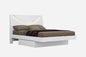 White Solid Wood Queen Bed Frame