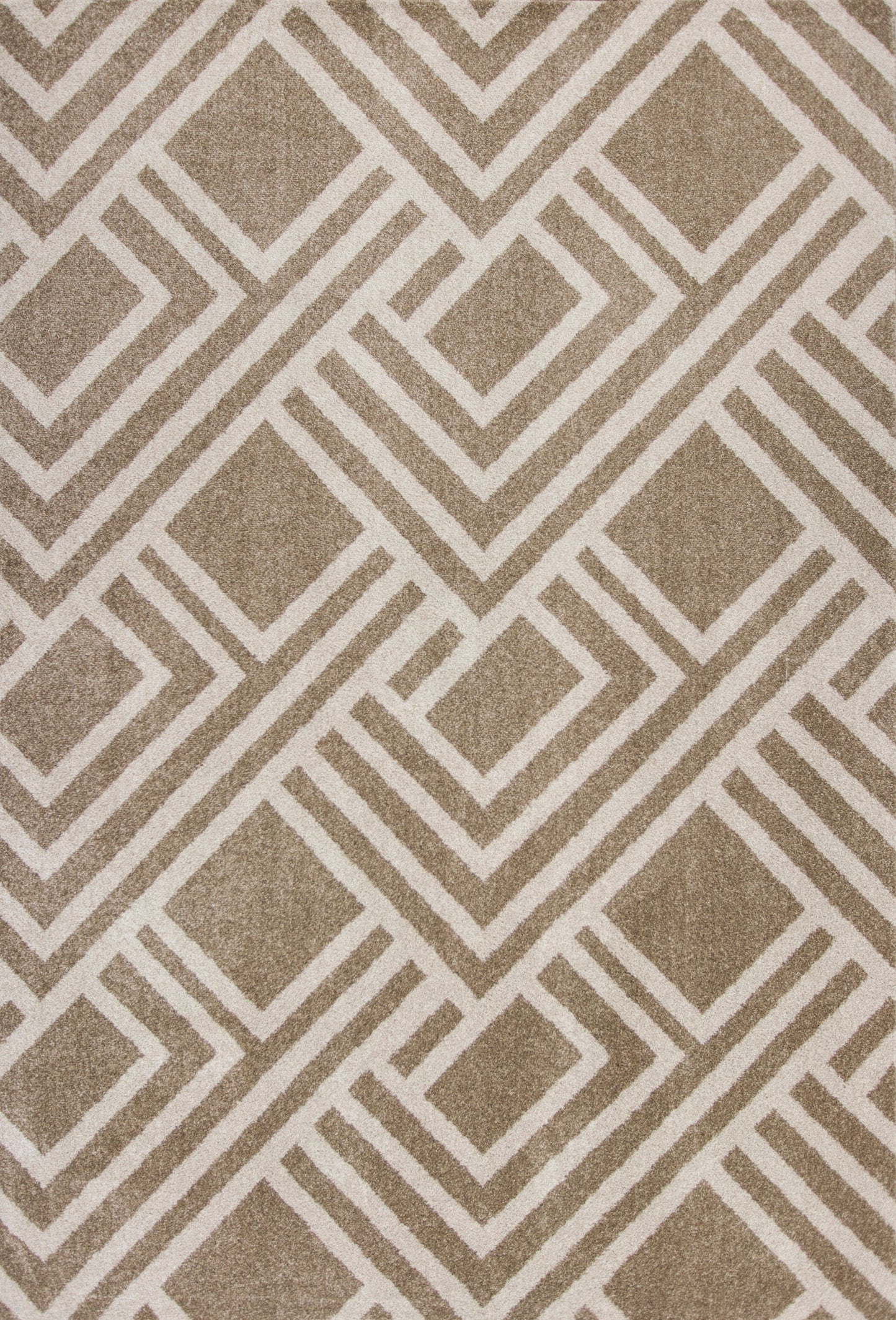 3' X 5' Beige Geometric Indoor Outdoor Area Rug