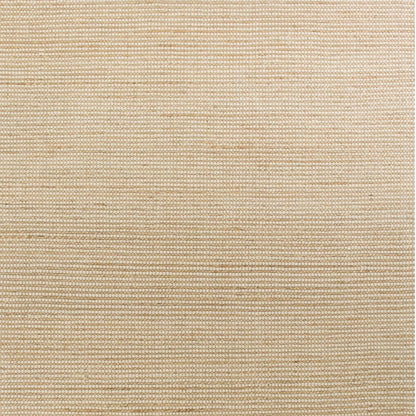 8' X 11' Tan And Ivory Hand Woven Area Rug