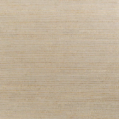 5' X 7' Tan And Ivory Hand Woven Area Rug