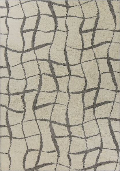 3' X 5' Ivory Abstract Shag Area Rug