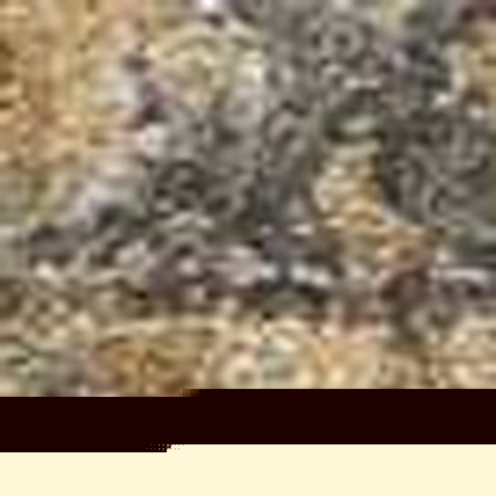 5' X 7' Brown And Gray Wool Medallion Area Rug