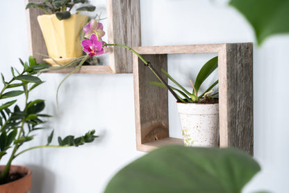 Rustic Farmhouse Set Of 3 Square Shadow Box Shelves