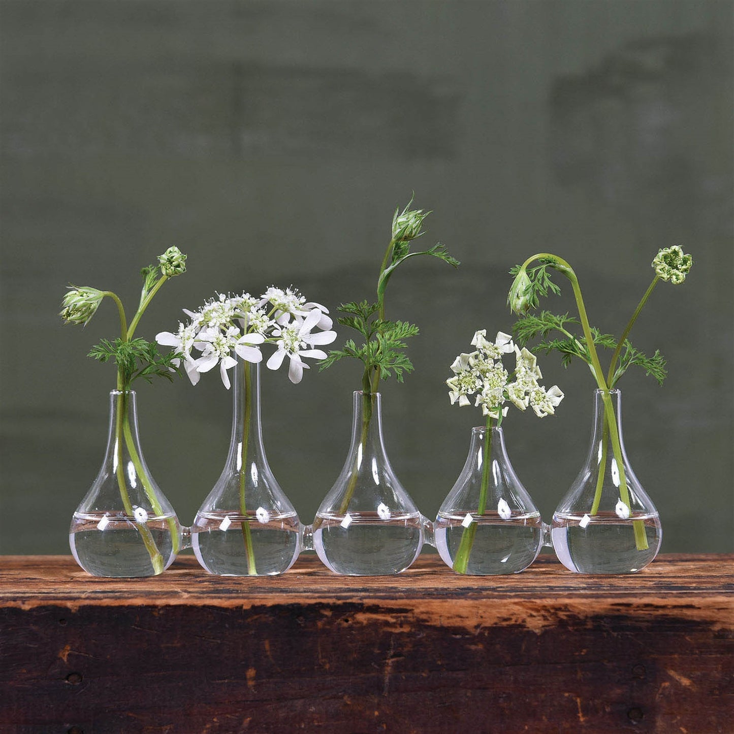 Set Of Five Clear Quintuplet Joined Glass Posy Vases