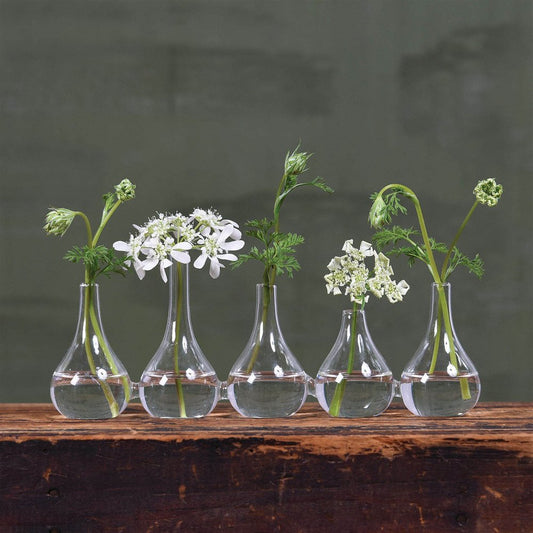 Set of Five Clear Cojoined Glass Bud Vases