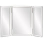 21" Mirror Framed Accent Mirror