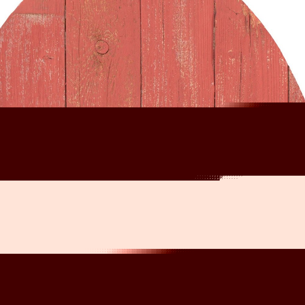24" X 18" Red Reclaimed Wood Egg Shaped Wall Decor