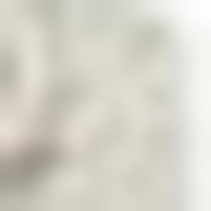 2' X 3' Gray And Ivory Medallion Distressed Area Rug