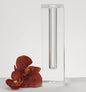 10" Clear Cylinder Crystal Glass Table Vase