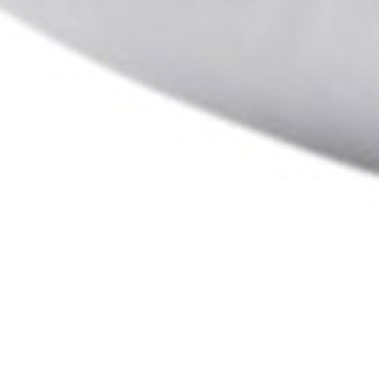 Set of Two Down Alternative Firm Queen Size Bed Pillows