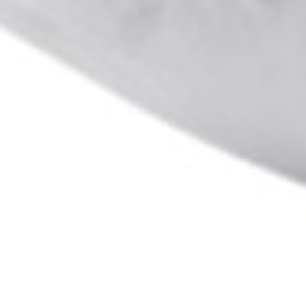 Set of Two Down Alternative Firm Queen Size Bed Pillows