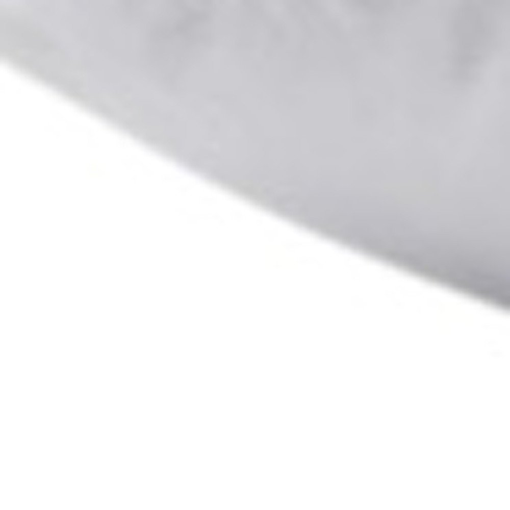 Set of Two Down Alternative Firm King Size Bed Pillows