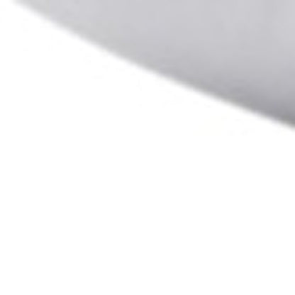 Set of Two Down Alternative Firm King Size Bed Pillows