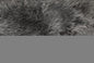 3' X 5' Gray Natural Sheepskin Area Rug