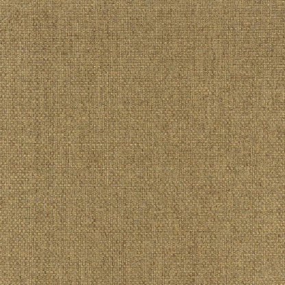 2' X 4' Tan Indoor Outdoor Area Rug
