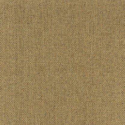 2' X 4' Tan Indoor Outdoor Area Rug