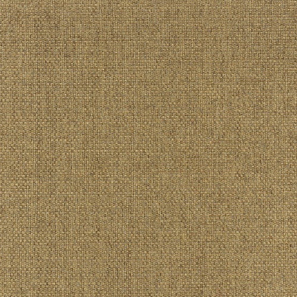 2' X 4' Tan Indoor Outdoor Area Rug