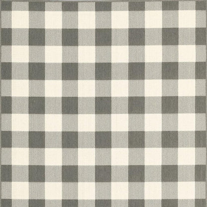 2' X 4' Gray And Ivory Indoor Outdoor Area Rug