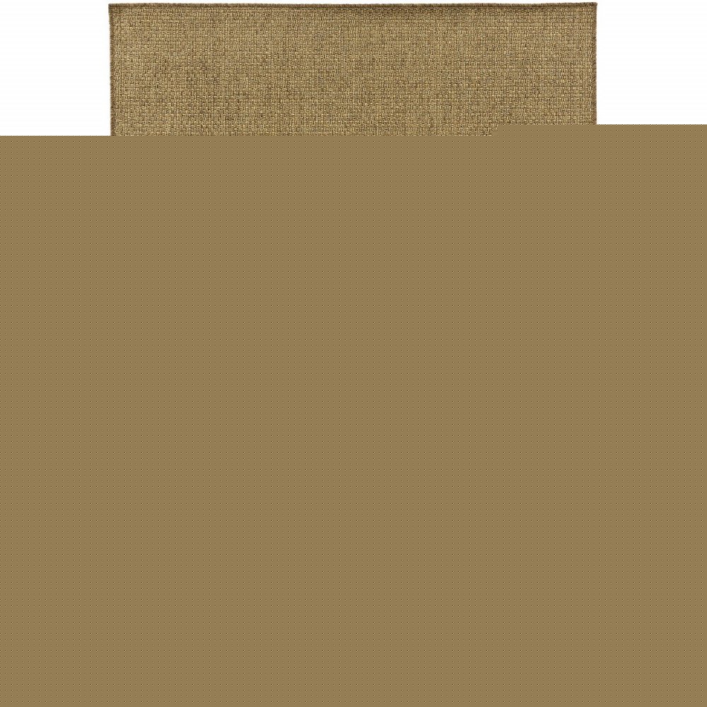 2' X 4' Tan Indoor Outdoor Area Rug