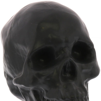 Black Ceramic Skull Sculpture